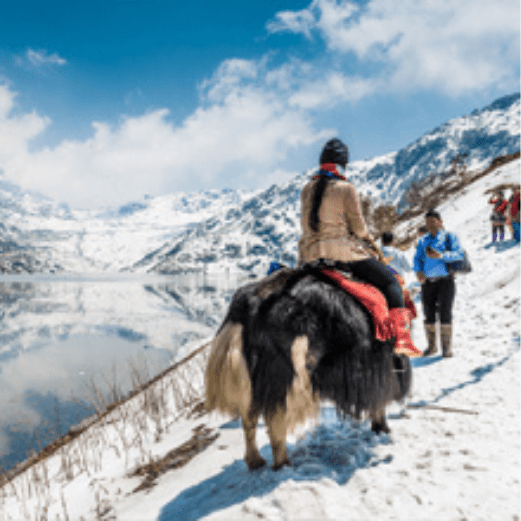 Sikkim Gangtok Darjeeling Tour Package with Holidays Crowd