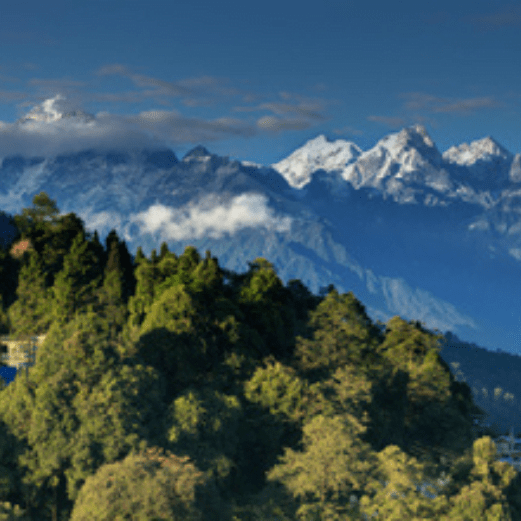 Sikkim Gangtok Darjeeling Tour Package with Holidays Crowd