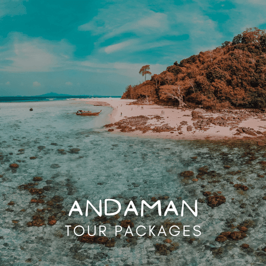 Andaman and Nicobar Tour Packages with Holidays crowd