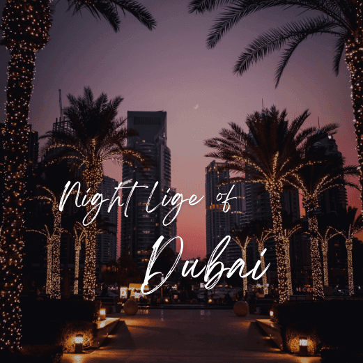 Dubai Tour Package with Holidays Crowd