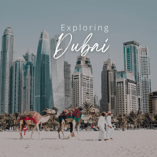 Dubai Tour Package with Holidays Crowd