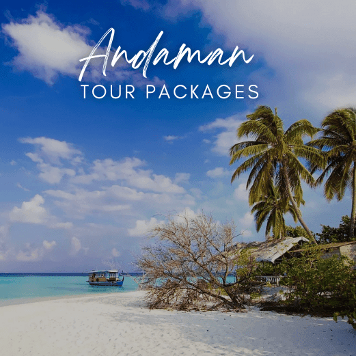 Andaman and Nicobar Tour Packages with Holidays crowd