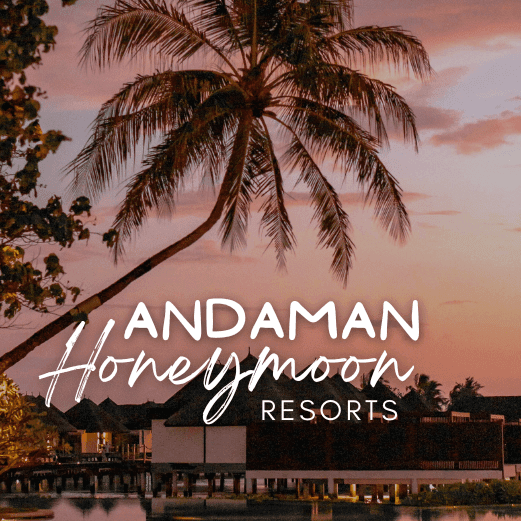 Andaman and Nicobar Tour Packages with Holidays crowd