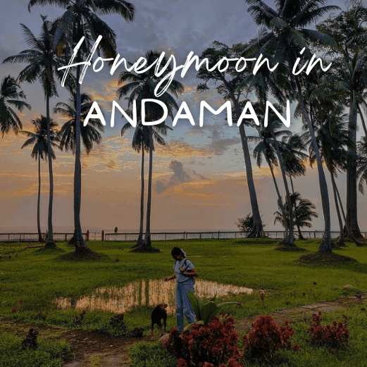 Andaman and Nicobar Tour Packages with Holidays crowd
