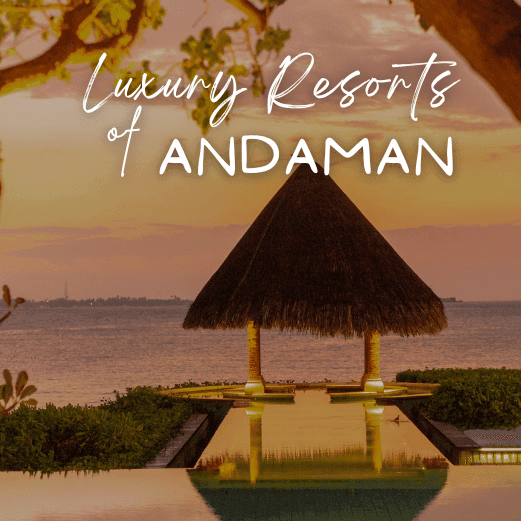 Andaman and Nicobar Tour Packages with Holidays crowd