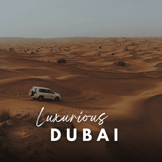 Dubai Tour Package with Holidays Crowd