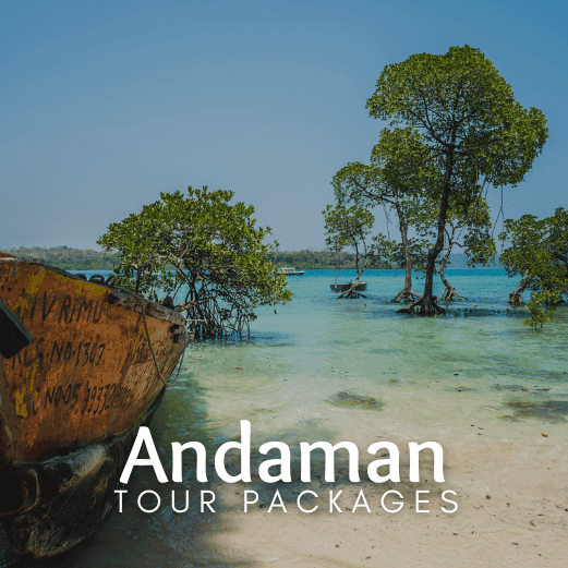 Andaman and Nicobar Tour Packages with Holidays crowd