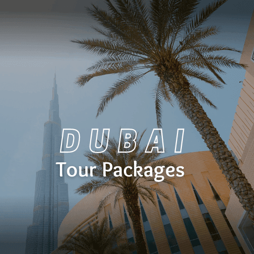 Dubai Tour Package with Holidays Crowd