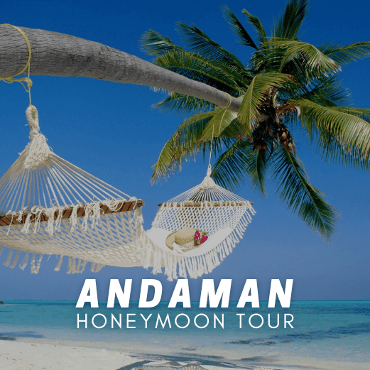 Andaman and Nicobar Tour Packages with Holidays crowd