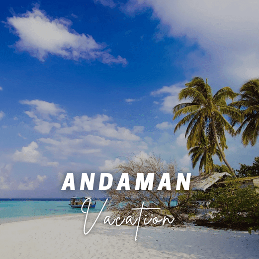 Andaman and Nicobar Tour Packages with Holidays crowd