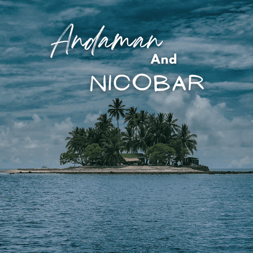 Andaman and Nicobar Tour Packages with Holidays crowd