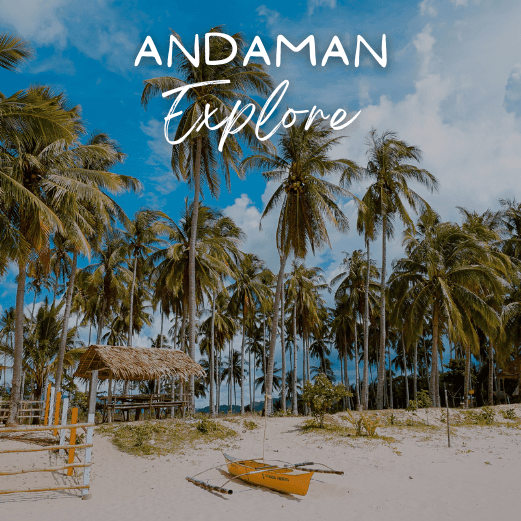 Andaman and Nicobar Tour Packages with Holidays crowd