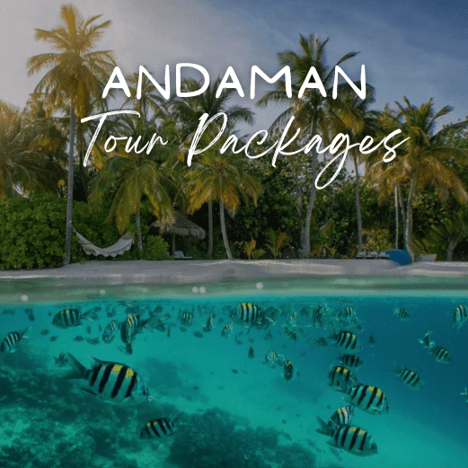Andaman and Nicobar Tour Packages with Holidays crowd