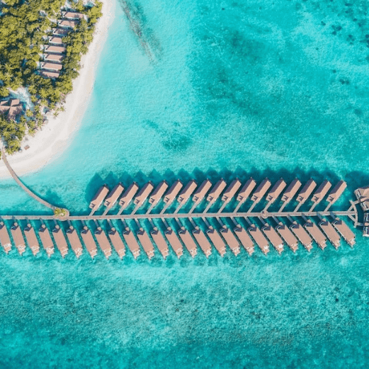 reethi faru Maldives Tour Package with Holidays crowd
