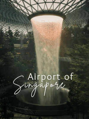 Singapore Honeymoon Tour Package with Holidays Crowd