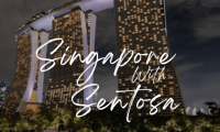 Singapore Honeymoon Tour Package with Holidays Crowd