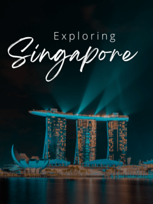 Singapore Honeymoon Tour Package with Holidays Crowd