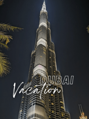 Dubai Tour Package with Holidays Crowd