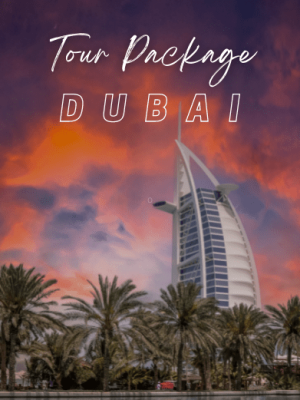 Dubai Tour Package with Holidays Crowd