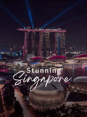 Singapore Honeymoon Tour Package with Holidays Crowd