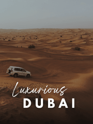 Dubai Tour Package with Holidays Crowd