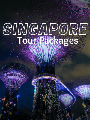 Singapore Honeymoon Tour Package with Holidays Crowd