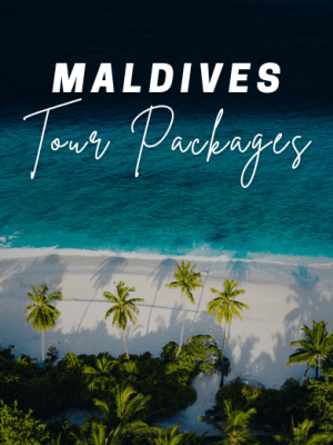 Maldives Honeymoon Tour Package with Holidays Crowd