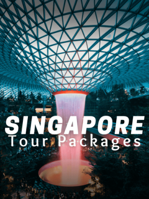 Singapore Honeymoon Tour Package with Holidays Crowd