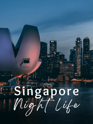 Singapore Honeymoon Tour Package with Holidays Crowd