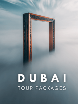 Dubai Frame Tour Package with Holidays Crowd