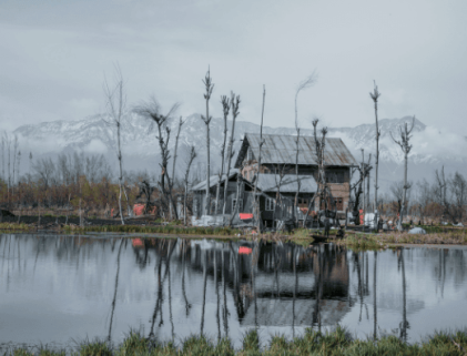 Kashmir Pahalgam Gulmarg Srinagar Tour Packages with Holidays crowd